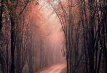 kaiyun电竞官方网站:21/22賽季歐冠聯賽基輔迪納摩陣容.