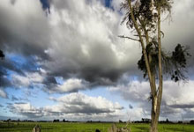 21/22賽季歐冠1/8決賽次回合曼聯0-1馬德裏競技 格列茲曼助攻洛迪破僵.