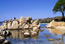 开运电竞版官方入口:金玟哉成熱門轉會目標!曼聯外、紐卡巴黎切爾西都有意爭奪!.